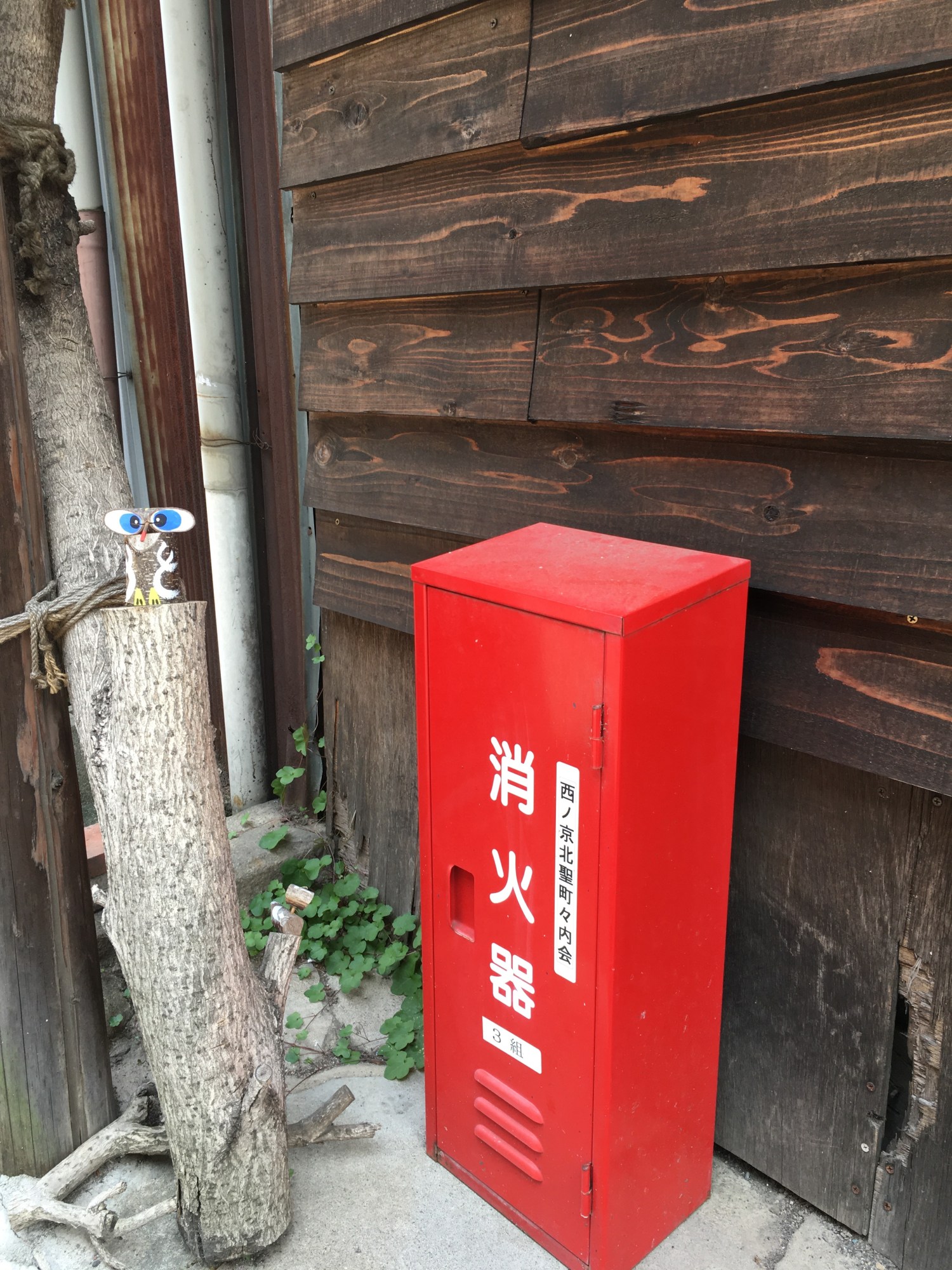 These boxes are commonly seen in the streets of Kyoto. They contain fire extinguishers.