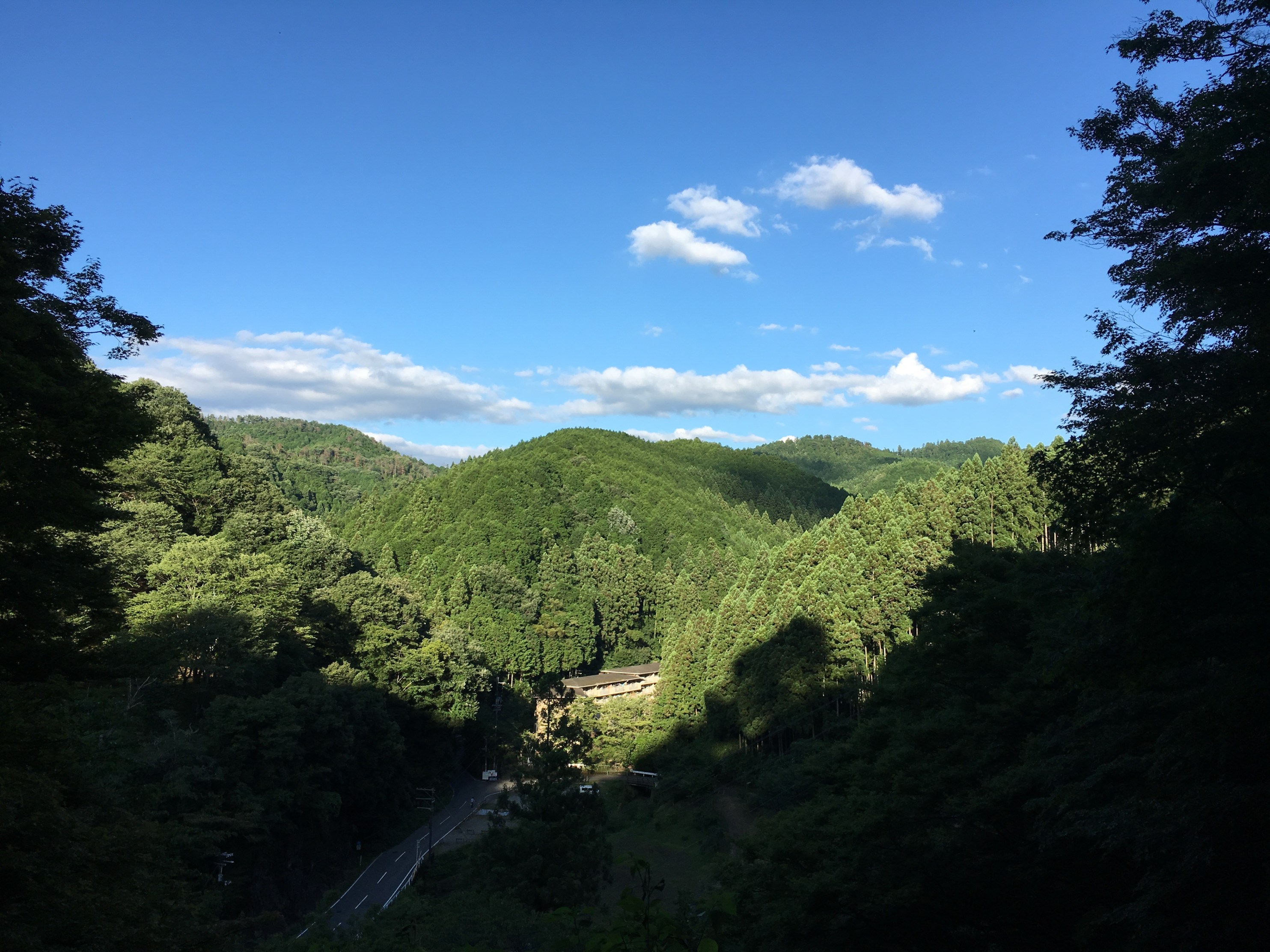 As noted in my blog on forests and wood in Japan.